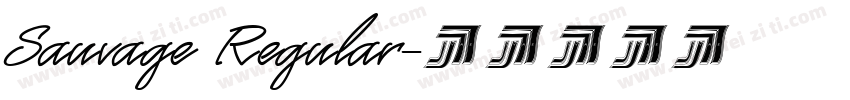 Sauvage Regular字体转换